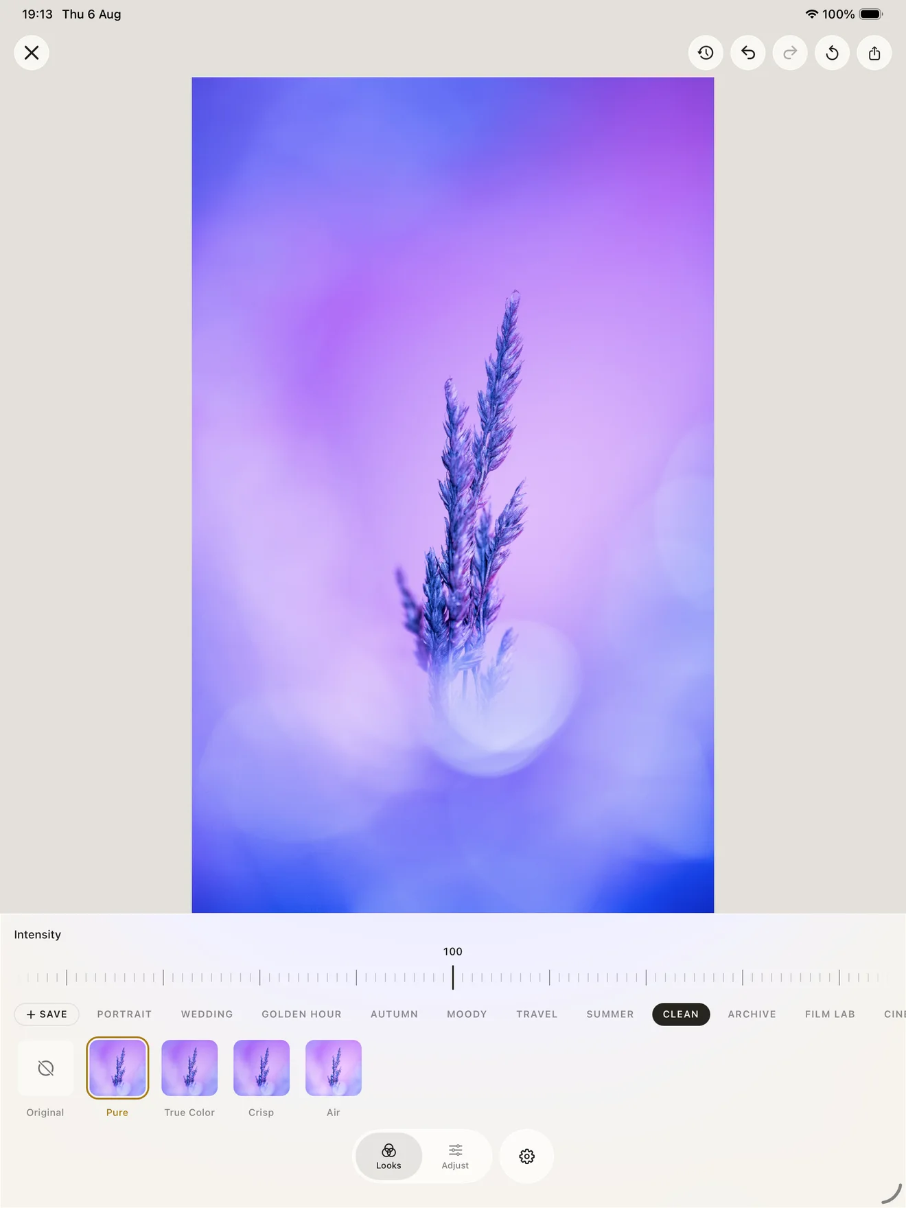 The Iris Looks browser open on iPad