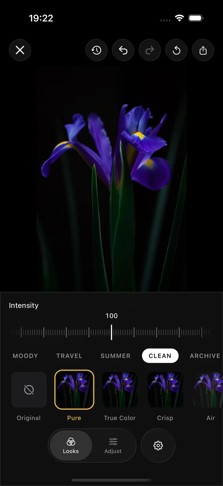 The Iris Looks browser over an iris flower photo