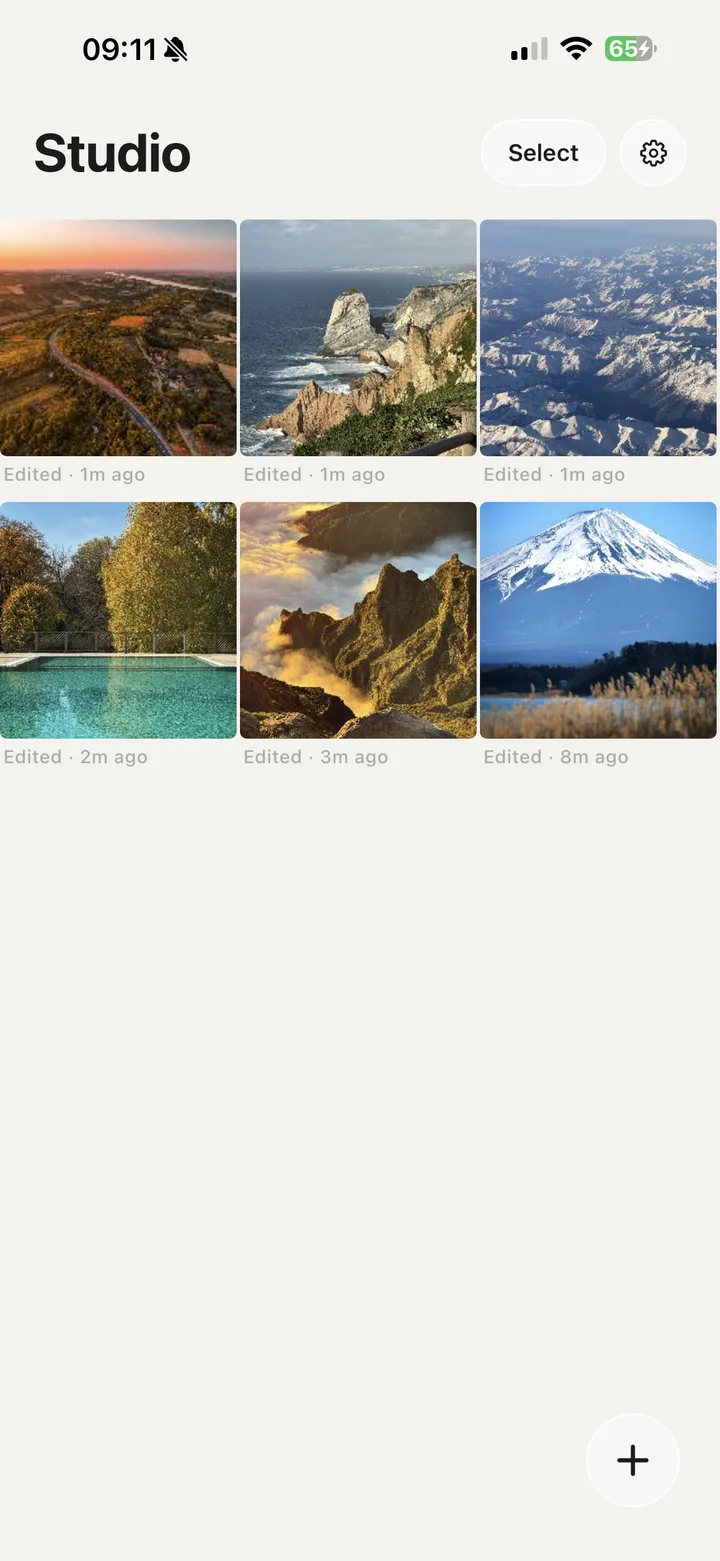 The Iris Studio library grid