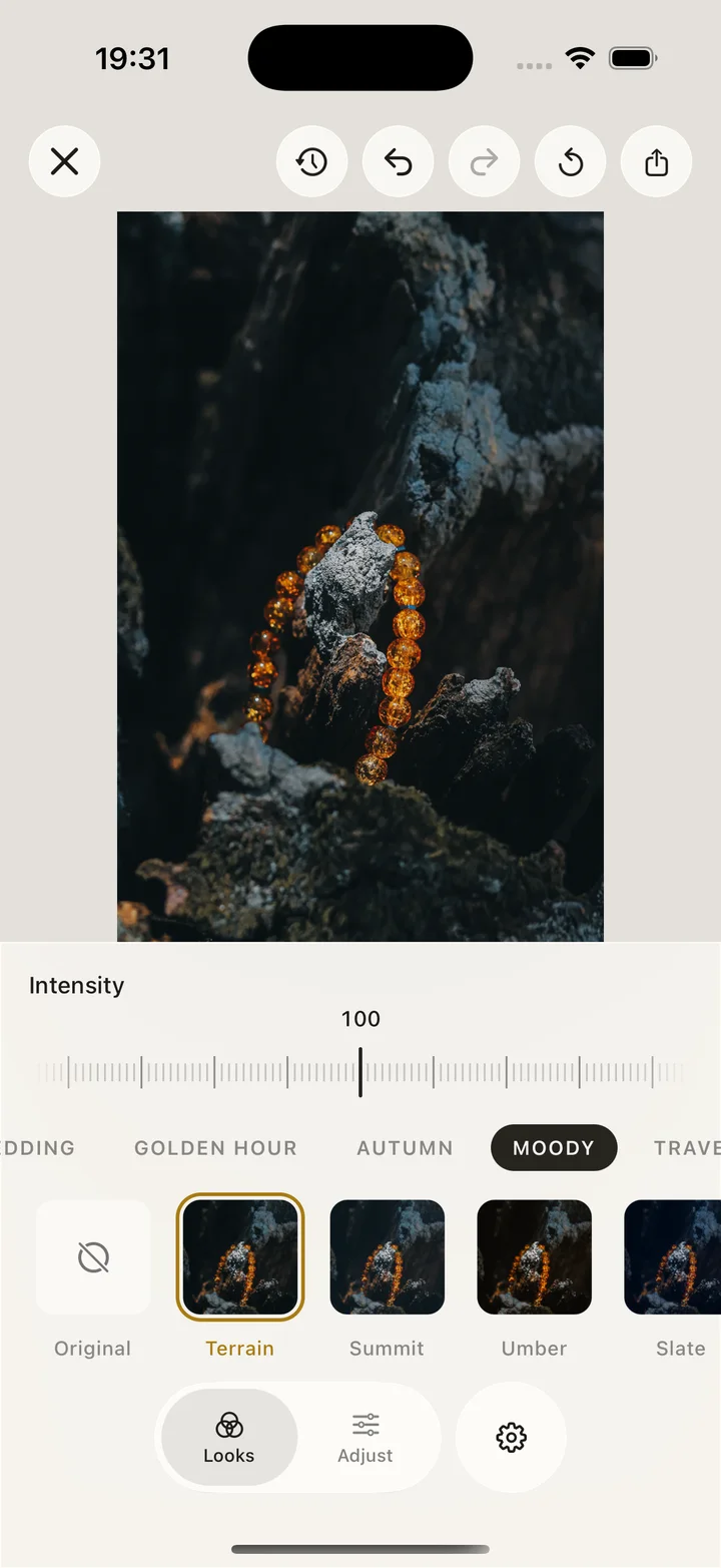 The Iris Looks browser with the Terrain look on an amber bracelet photo, on iPhone